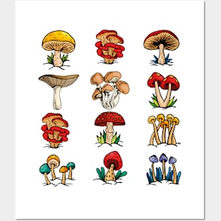 Mushroom gift Mycology Fungi Foraging Mushroom Whisperer Posters and Art